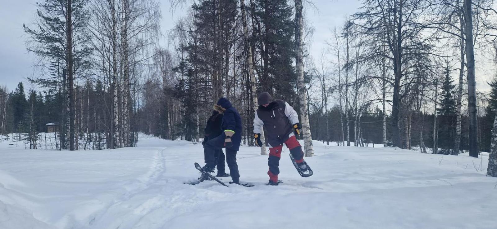Lapland Old School Hotel Muonio Bagian luar foto